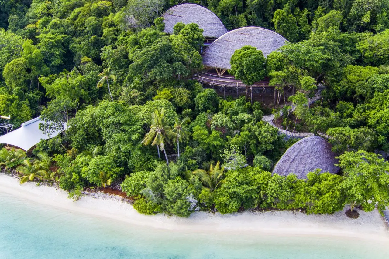 aerial_grouper_treetops_jules_verne_with_green_forest