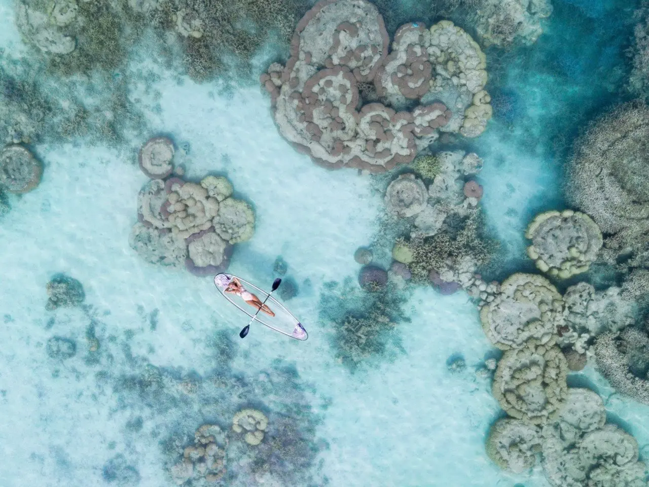 aerial_blonde_woman_white_bikini_relaxing_on_clear_kayak_in_coral_reefs_lagoon