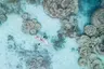 aerial_blonde_woman_white_bikini_relaxing_on_clear_kayak_in_coral_reefs_lagoon