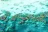 aerial_man_holding_oar_clear_kayaking_coral_reefs_lagoon_from_distance_west_overwater_suites