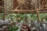 treetops_long_wooden_table_under_jellyfish_light_with_foliage_view