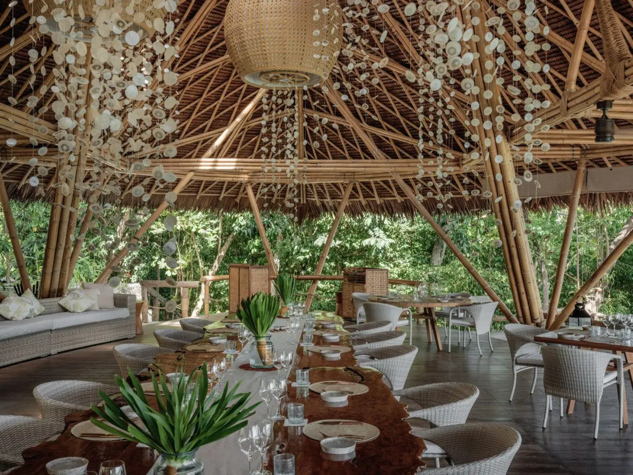 treetops_long_wooden_table_under_jellyfish_light_with_foliage_view