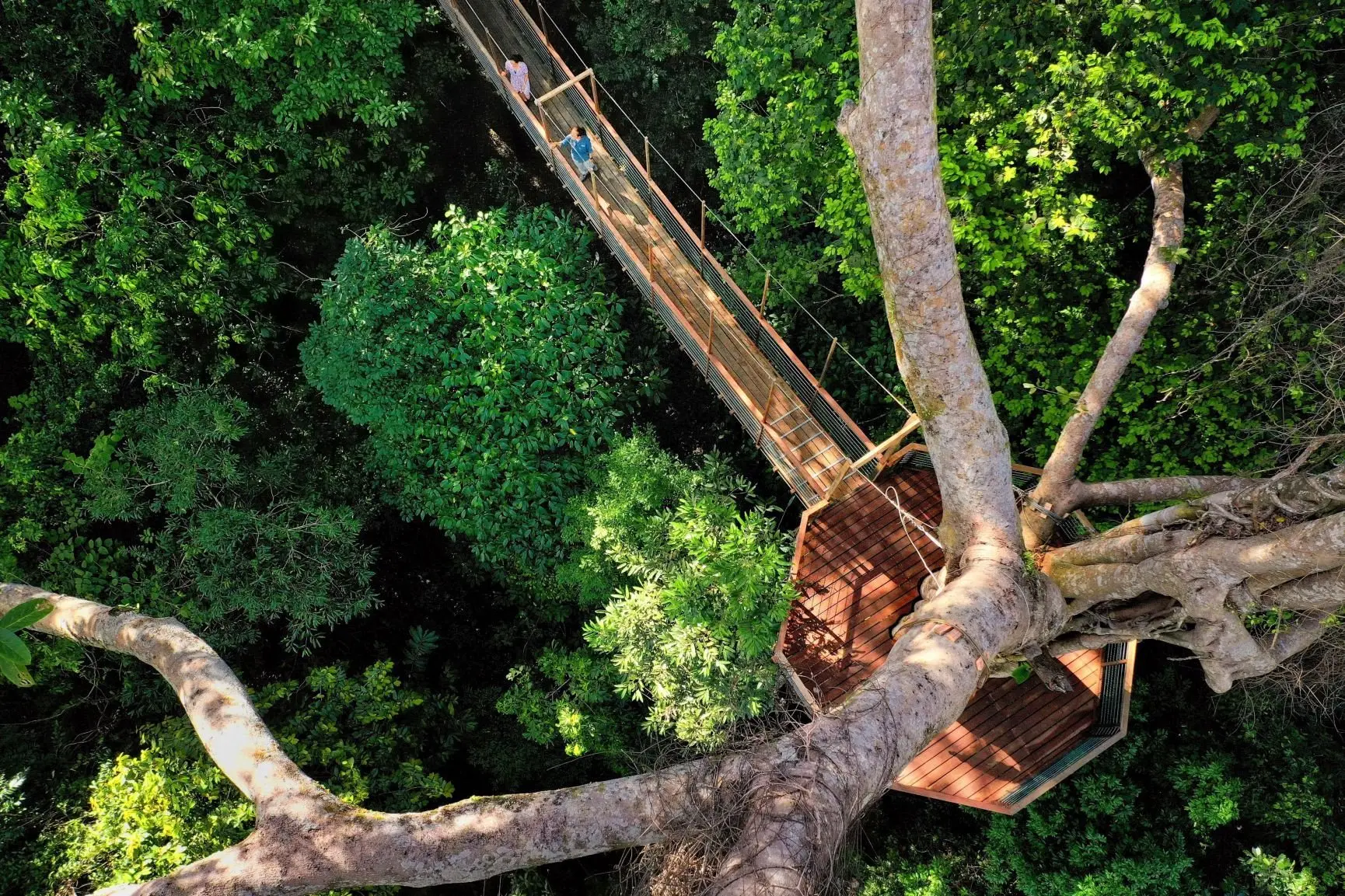 The Datai Langkawi - Canopy Walk (EM) 2