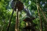 The Datai Langkawi - Canopy Walk 4