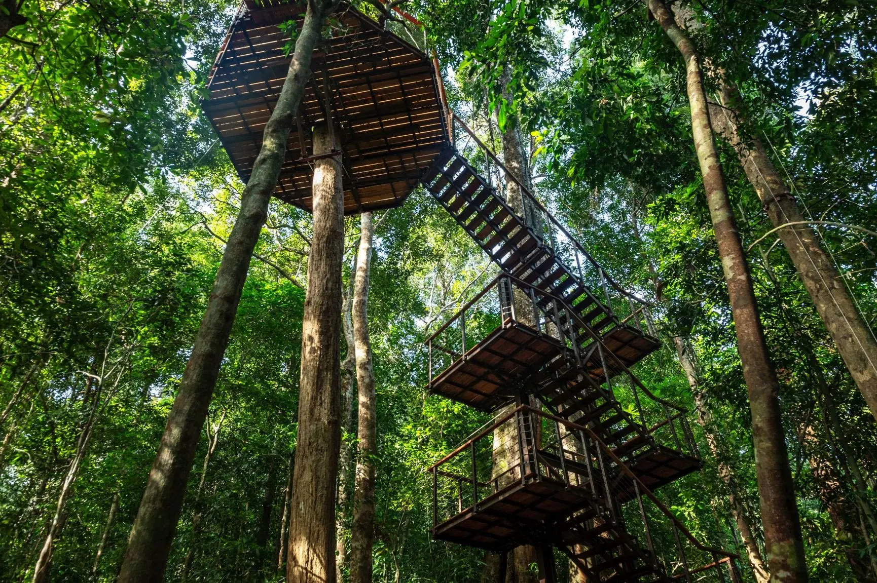 The Datai Langkawi - Canopy Walk 4