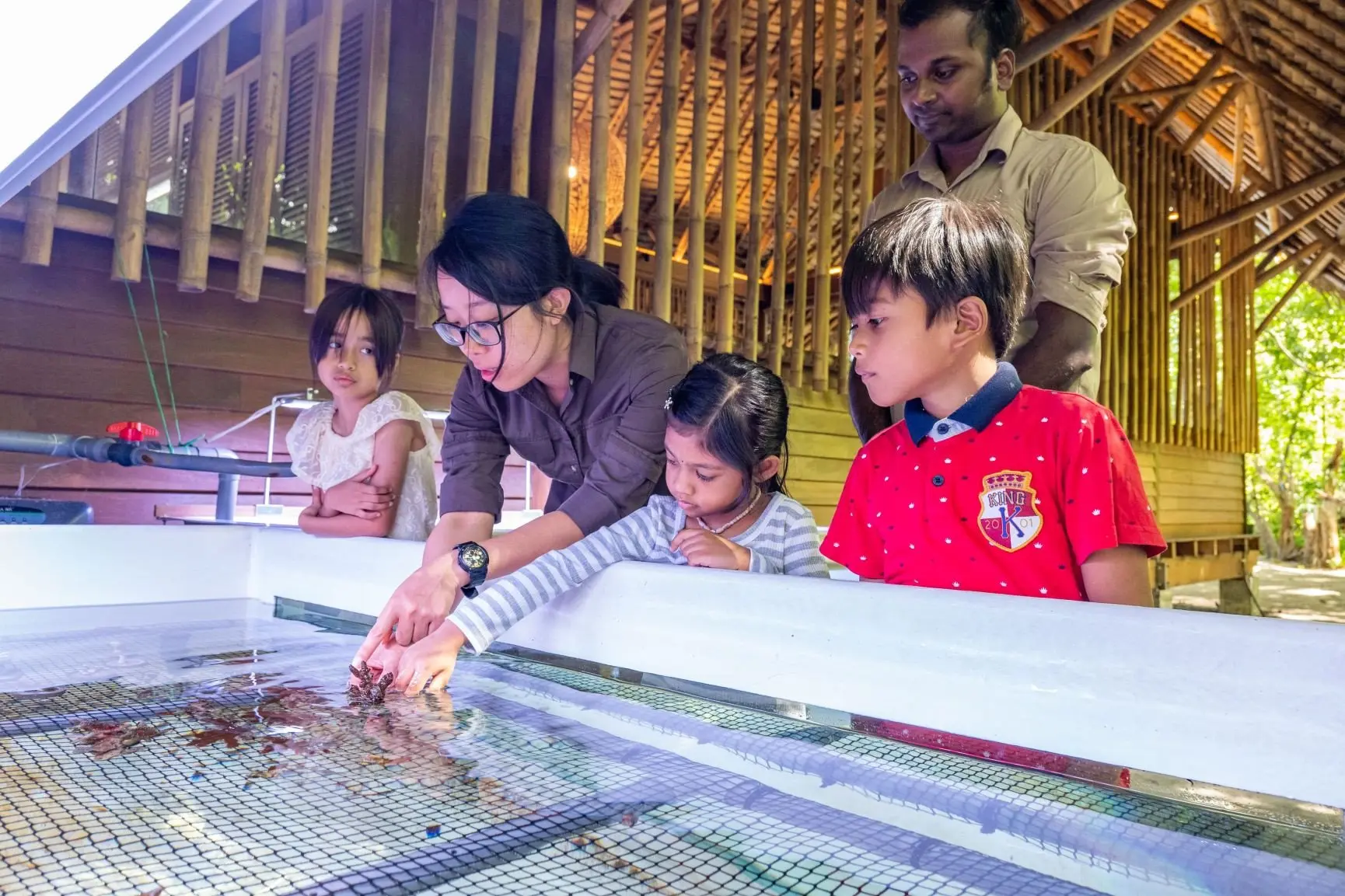 The Datai Pledge - Coral Rehabilitation activity with Nicole, Marine Biologist, The Datai Langkawi