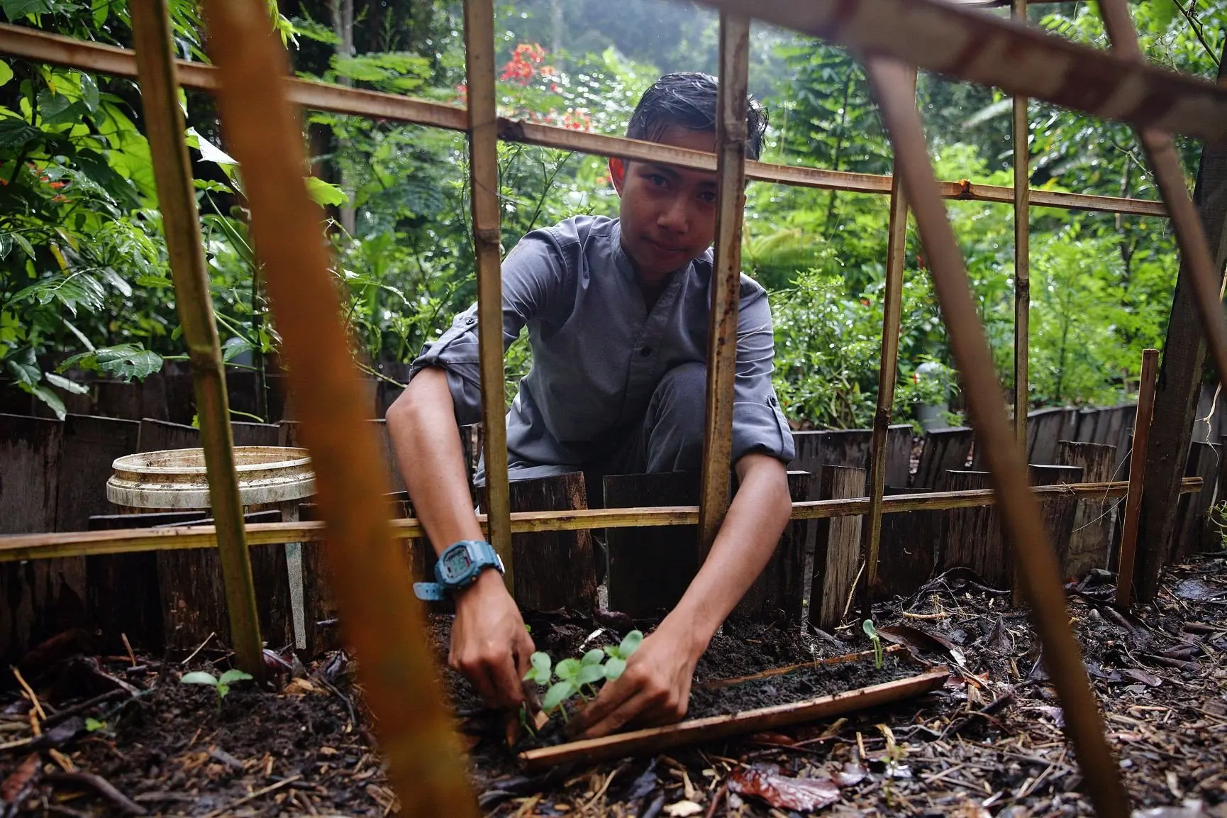 The Datai Pledge - Permaculture Garden