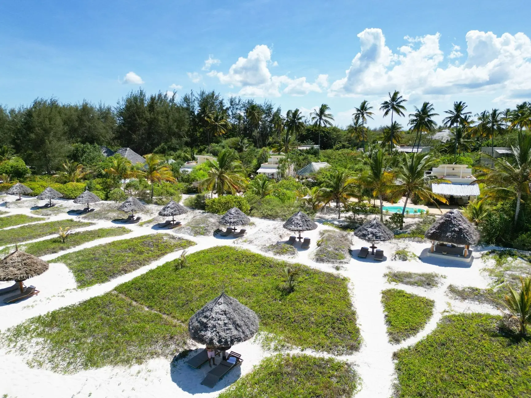 Beach umbrellas