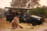 Botswana-Sandibe-Experience-Game-Drive-lion-and-vehicle