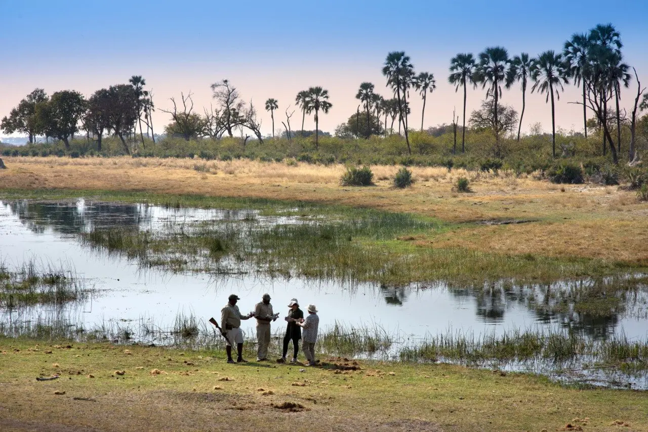 Botswana-Sandibe-Experience-Walking-Safari-at-the-Okavango-Delta-River