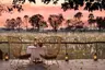 Botswana-Sandibe-Guest-Area-drinks-at-sunset-on-the-deck