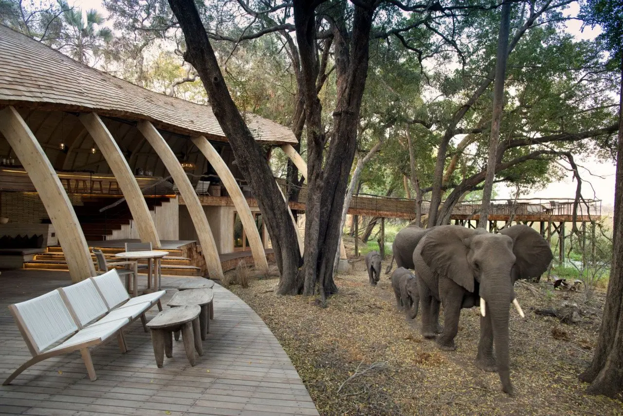 Botswana-Sandibe-Guest-Area-deck-and-elephants