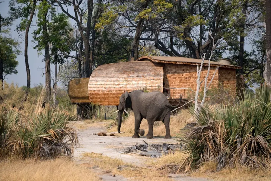 Botswana-Sandibe-Suite-exterior-elephant