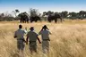 Botswana-Xaranna-Experience-Bush-Walk