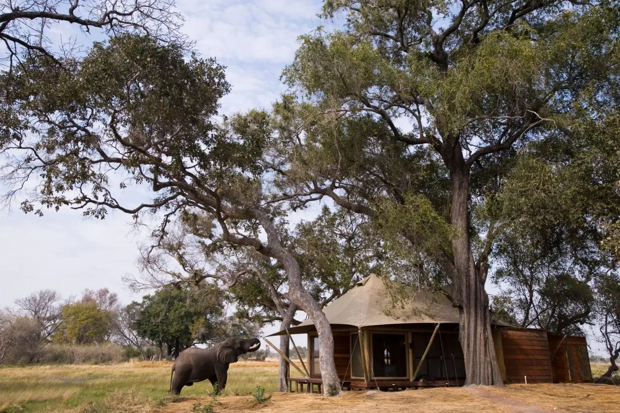 Botswana-Xaranna-Guest-Area-exterior-with-an-elephant