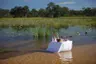 Botswana-Xaranna-Guest-delight-breakfast-snacks-in-the-water