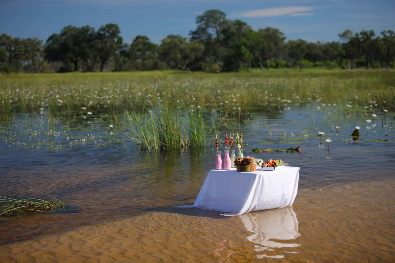 Botswana-Xaranna-Guest-delight-breakfast-snacks-in-the-water