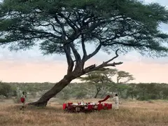 Tanzania-Serengeti-Under-Canvas-SUC-Experience-Bush-dinner-2