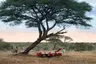 Tanzania-Serengeti-Under-Canvas-SUC-Experience-Bush-dinner-2