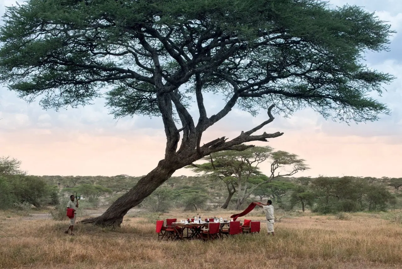 Tanzania-Serengeti-Under-Canvas-SUC-Experience-Bush-dinner-2