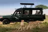 Tanzania-Serengeti-Under-Canvas-SUC-Experience-Game-drive-vehicle-with-cheetahs-12