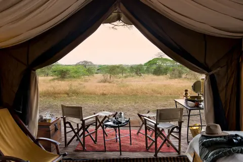 Tent