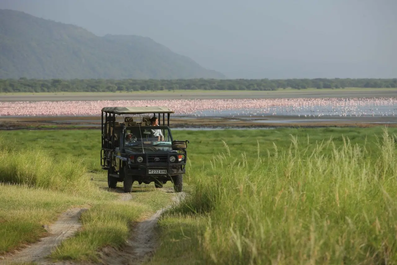 Tanzania-Lake-Manyara-Tree-Lodge-Experience-game-drive-with-the-lake-behind-the-vehicle-2014-5