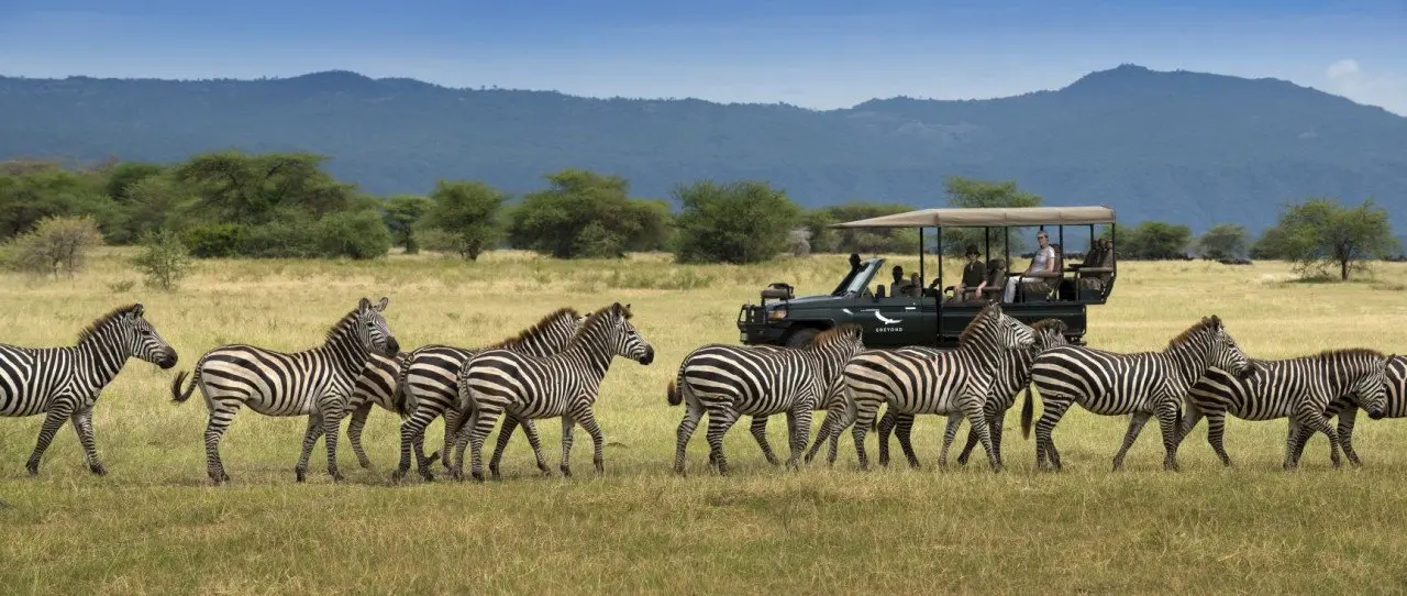 Tanzania-Lake-Manyara-Tree-Lodge-Experience-game-drive-vehicle-with-zebras-2018-2