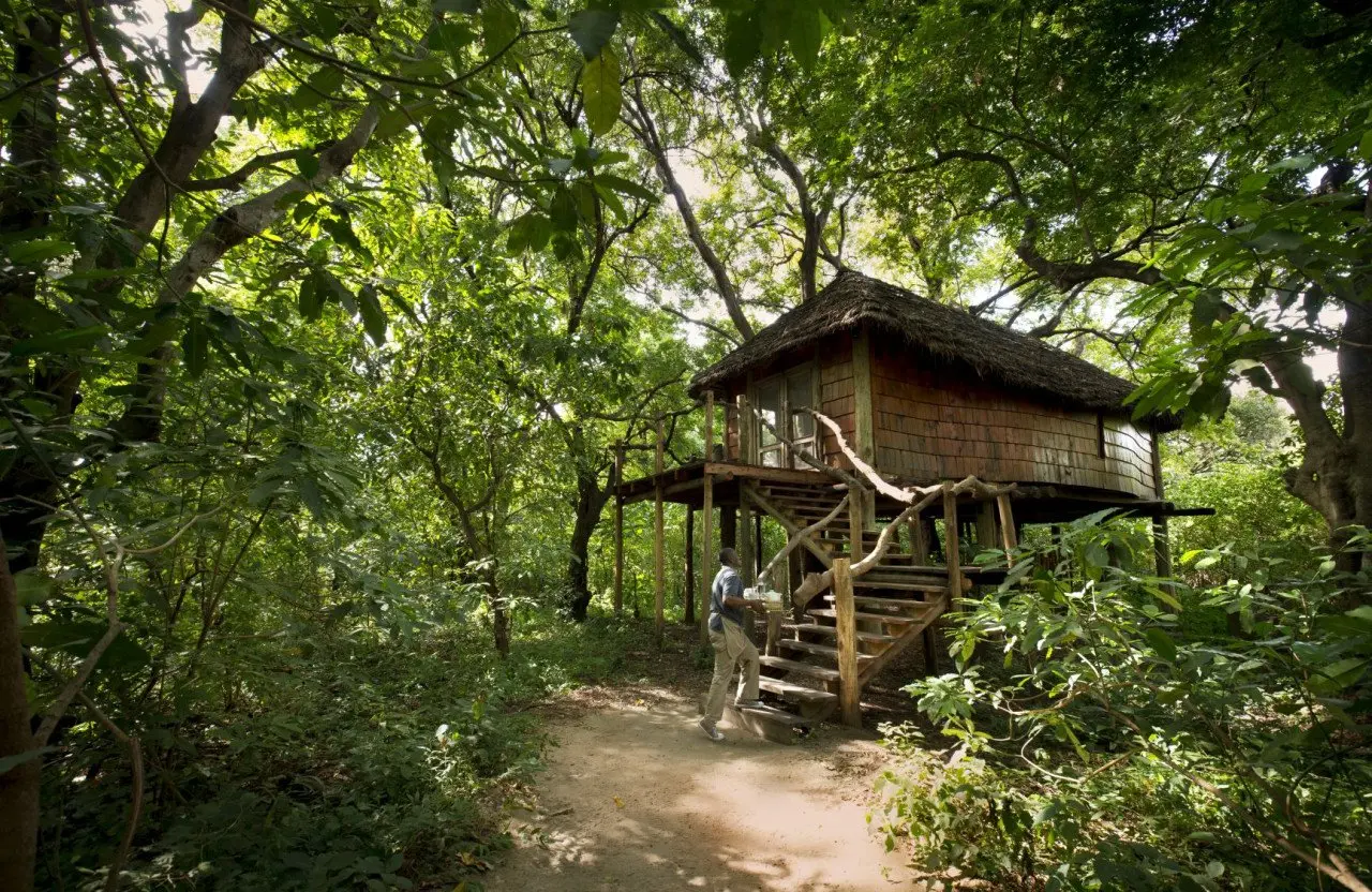 Tanzania-Lake-Manyara-Tree-Lodge-Room-Suite-exterior-2018-3