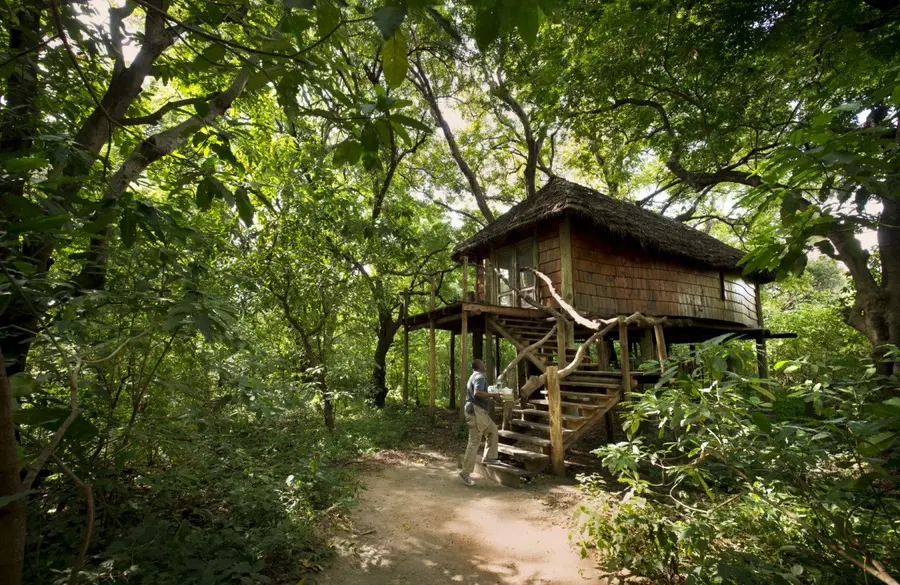 Tanzania-Lake-Manyara-Tree-Lodge-Room-Suite-exterior-2018-3