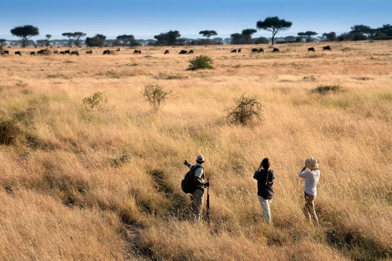 Tanzania-Grumeti-Serengeti-River-Lodge-Experiences-guided-nature-walk_16