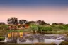 Tanzania-Grumeti-Serengeti-River-Lodge-Guest-Area-exterior-view-with-hippo-pod-in-river_4