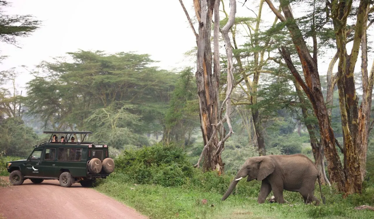 Tanzania-Ngorongoro-Crater-Lodge-Experience-Game-drive-vechile-with-elephant-7