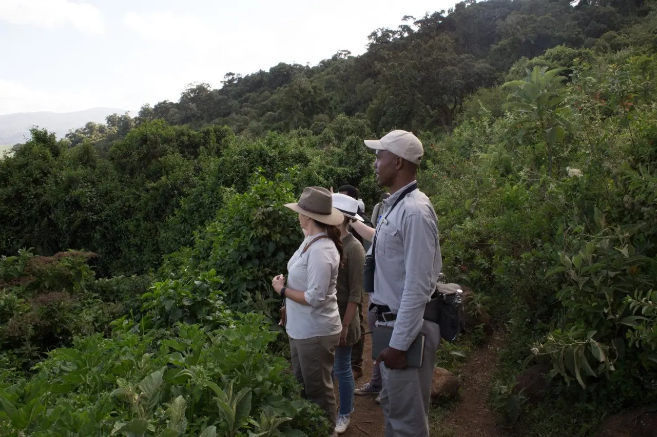 Walks-and-hikes-andBeyond-Ngorongoro-Crater-Lodge