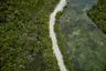 MM 21 Running_mangroves_aerial 2