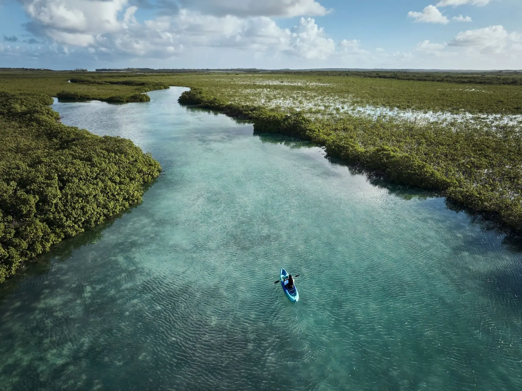 MM22 CPC Kayaking PC mangroves