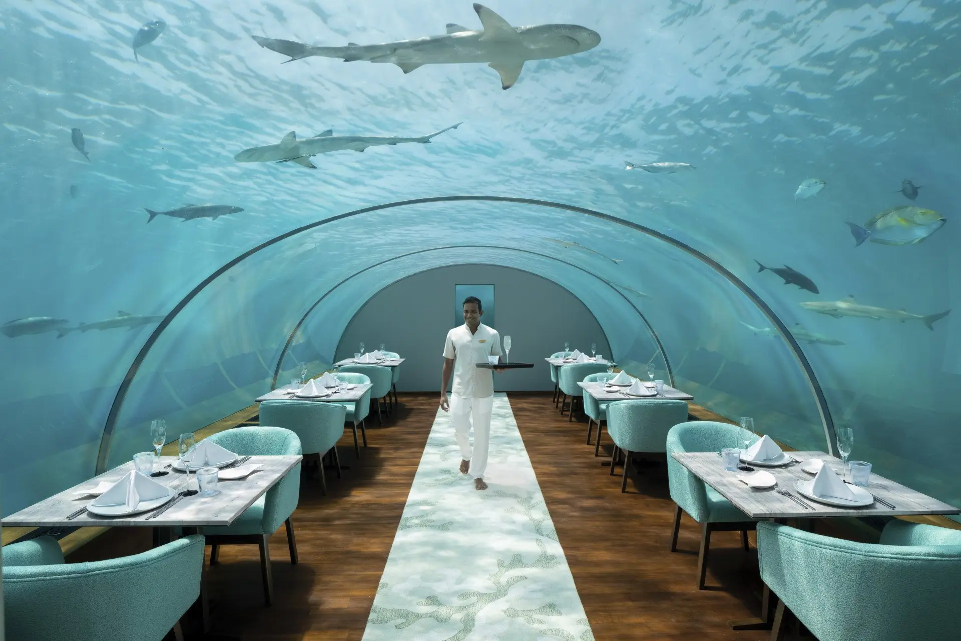 Conrad Maldives Rangali Island_IthaaUnderseaRestaurant_TeamMember_JA_HighRes