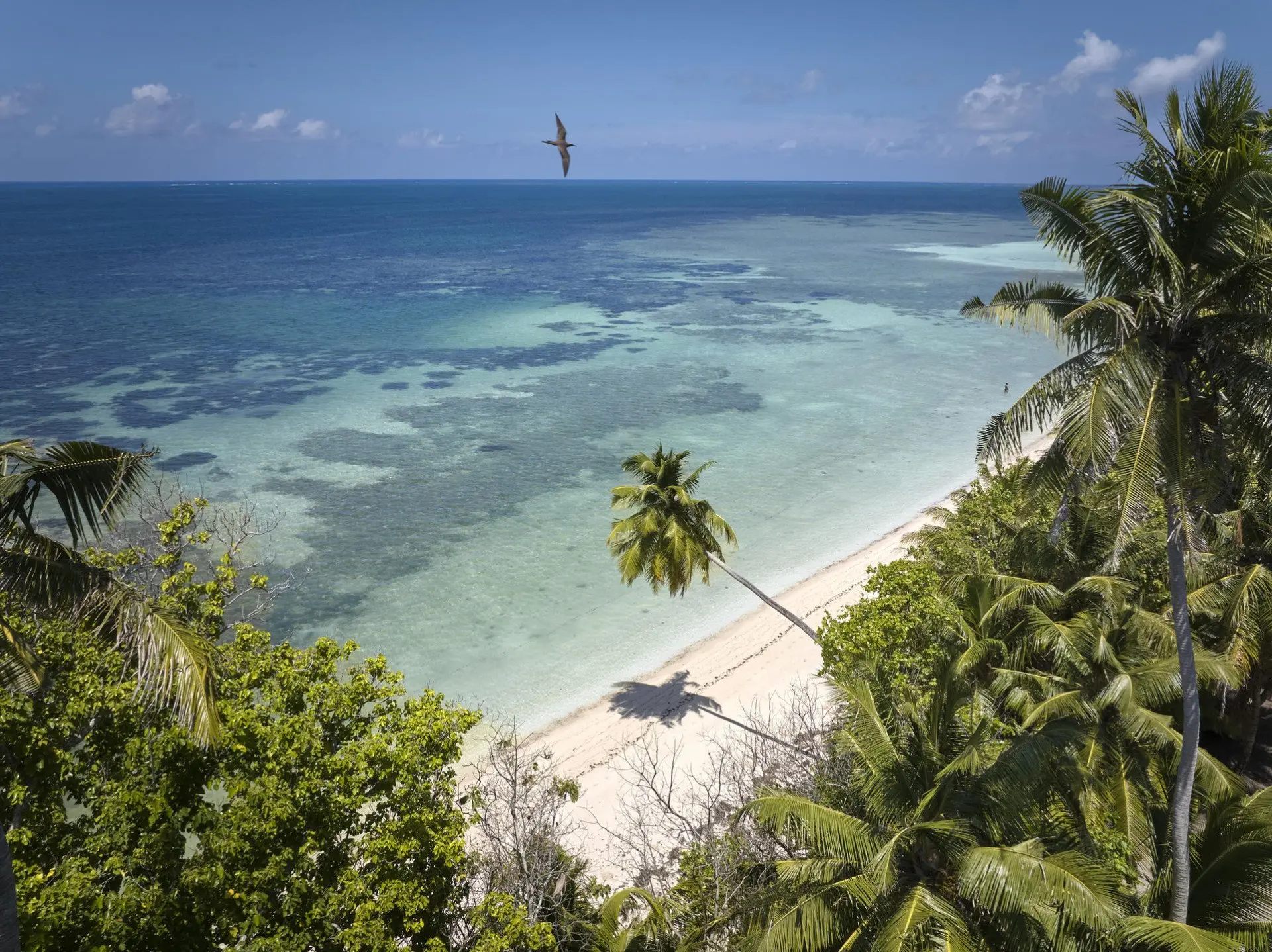 aerial_view_of_beach