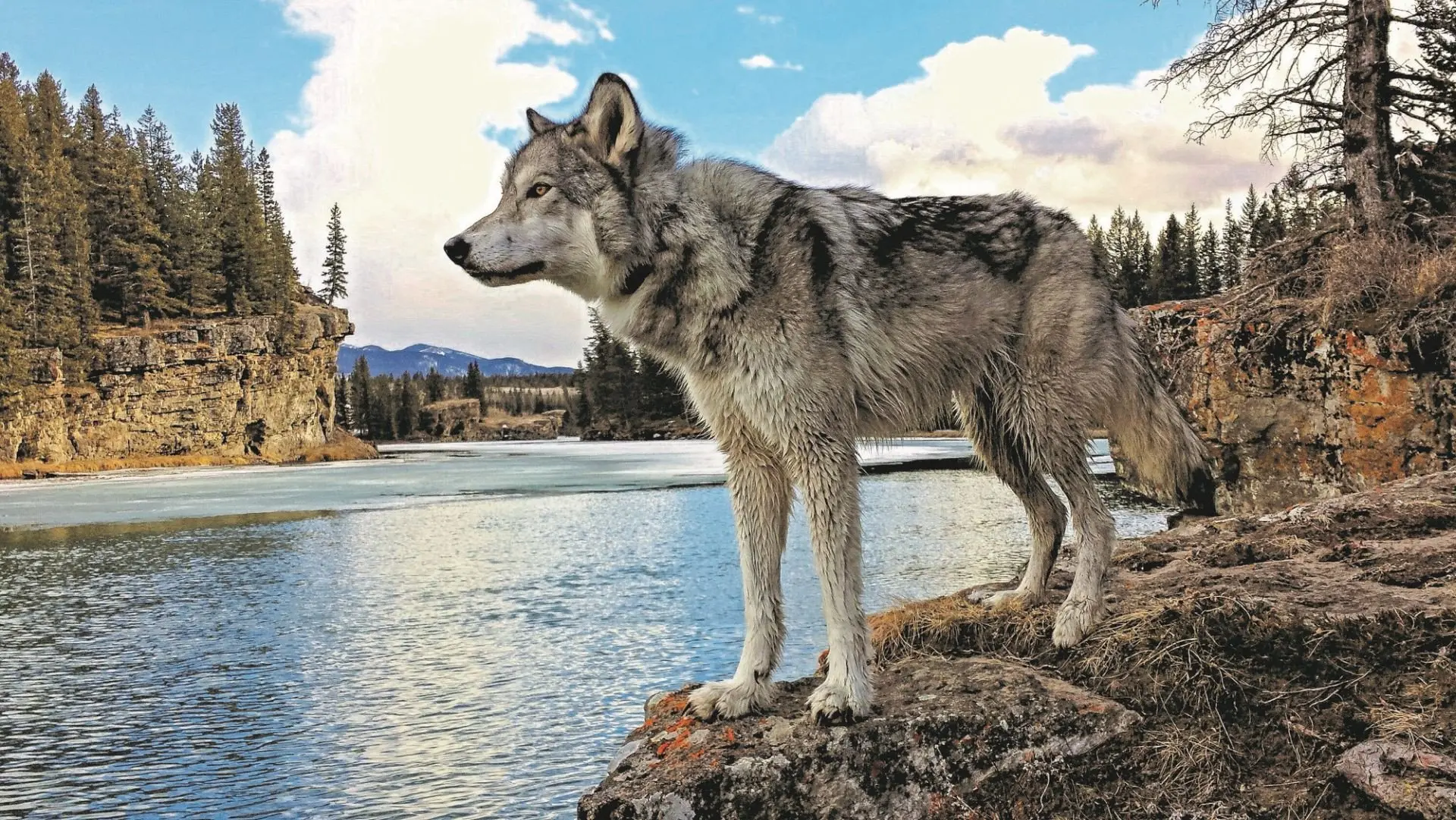 small©Discover Banff Tours