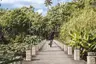 small_Anantara_Mai_Khao_Phuket_Villas_Exterior_View_A_Woman_Rides_A_Bike_Over_The_Bridge