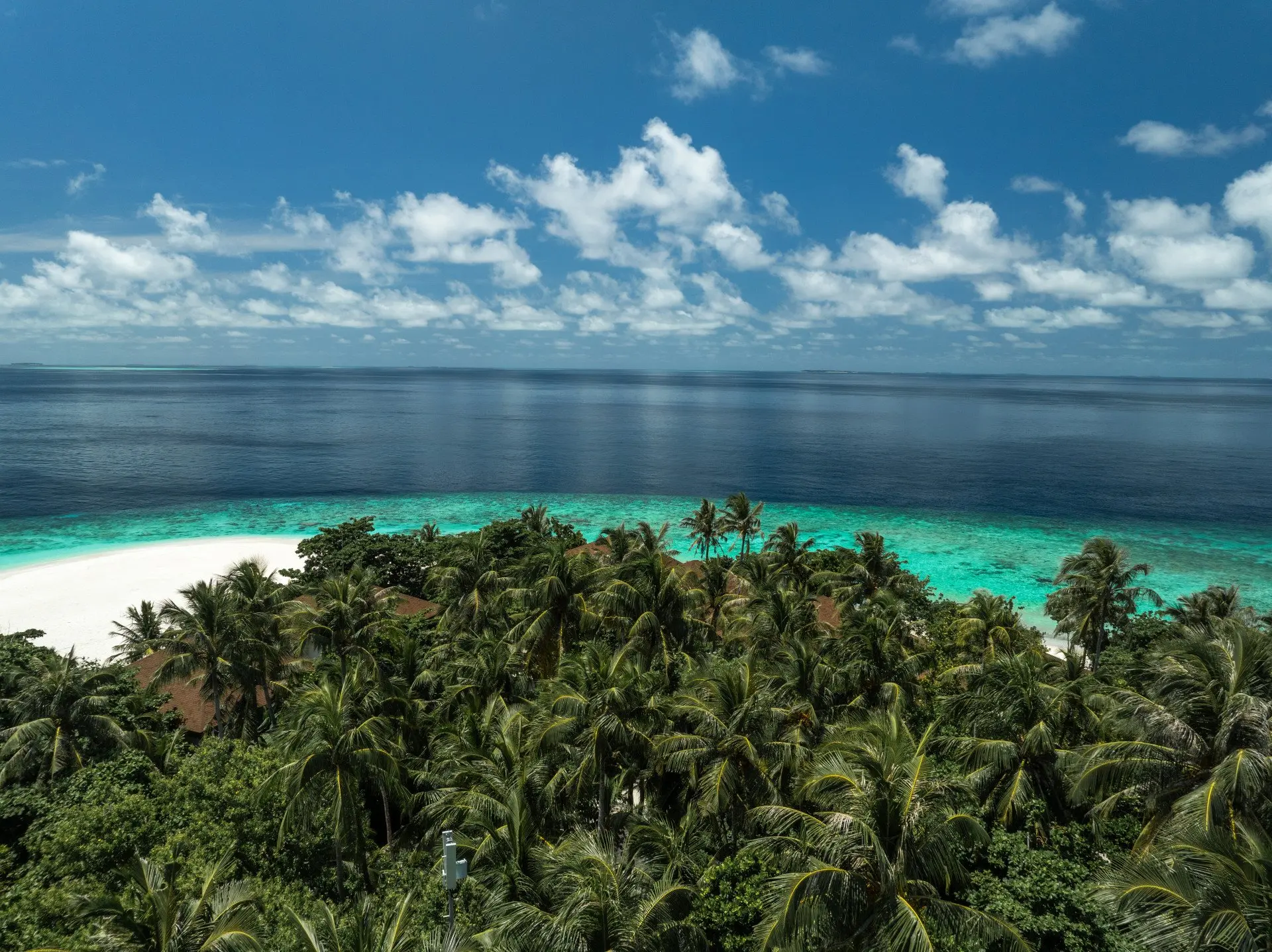 Avani_Plus_Fares_Maldives_Aerial_View_Coconut_Palm_Trees_Beach_Snorkel_Point_and_Ocean