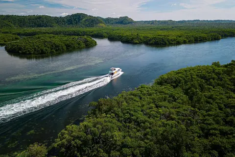 small_Nay Palad Boat in the mangroves