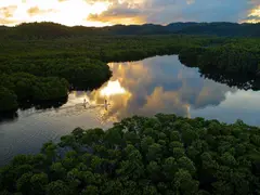 small_SUP in the mangroves