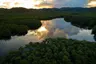 small_SUP in the mangroves