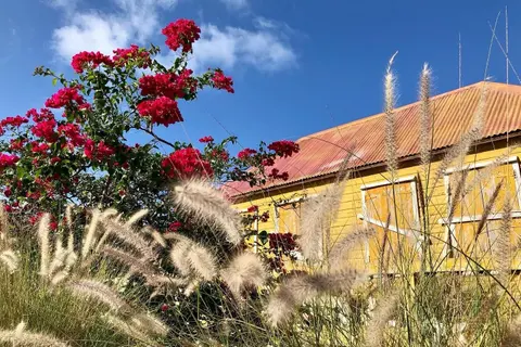 Anguilla