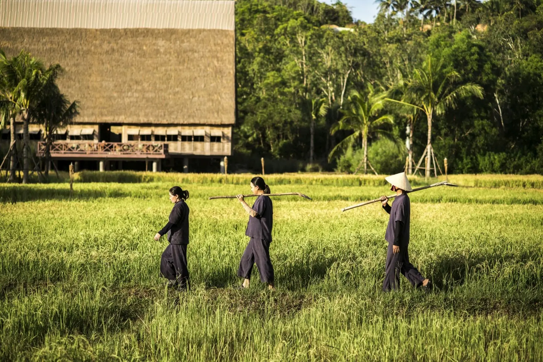 Zannier Hotels Bãi San Hô - Rice Paddies 11 - © Frederik Wissink for Zannier Hotels