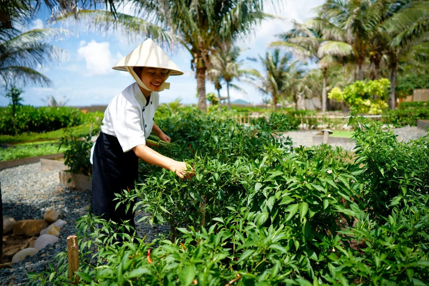 2_Vietnamese By The Market