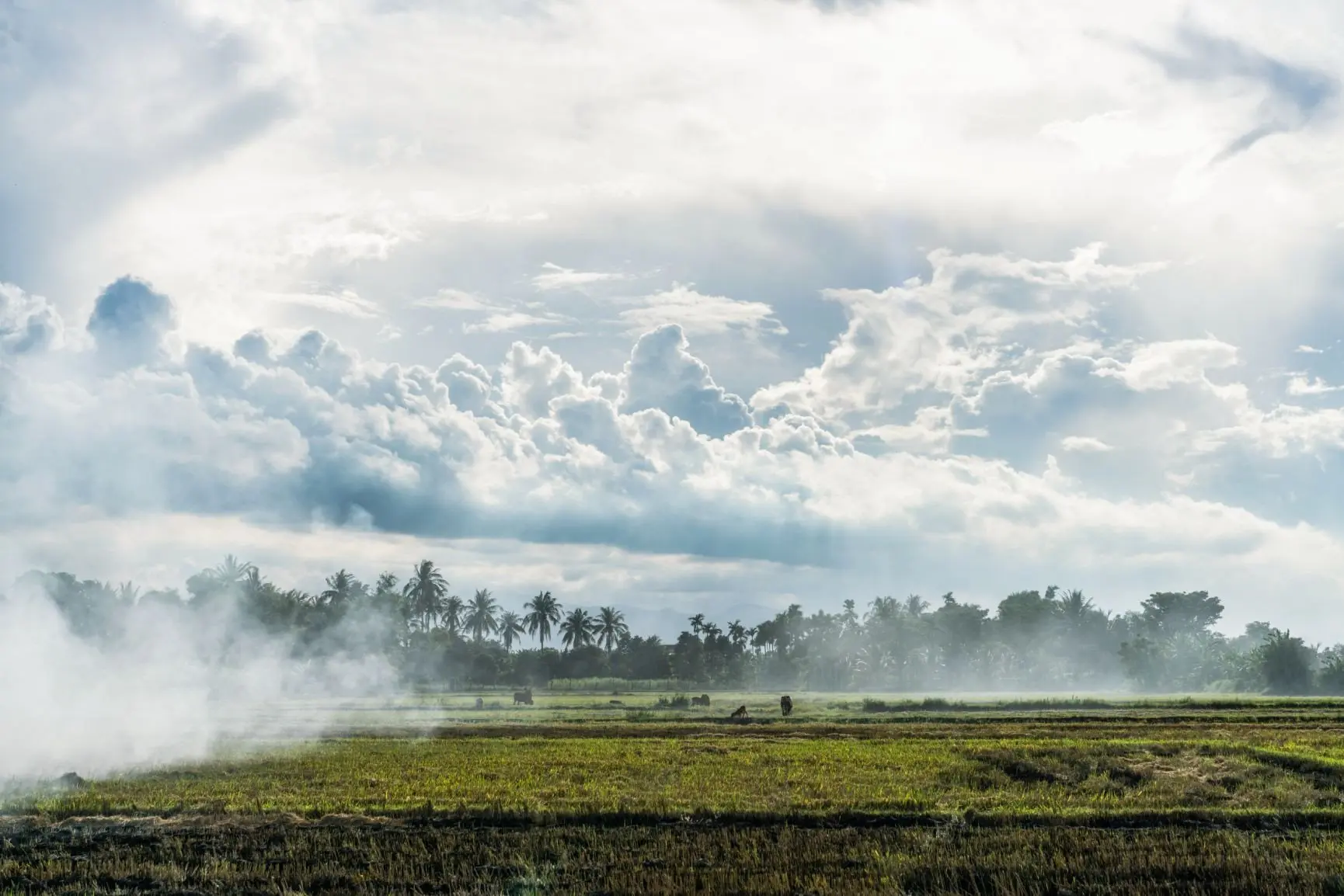 Amanoi, Vietnam - Destination, Local village_14661