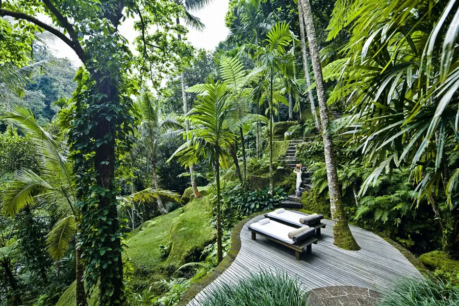 Water_Garden