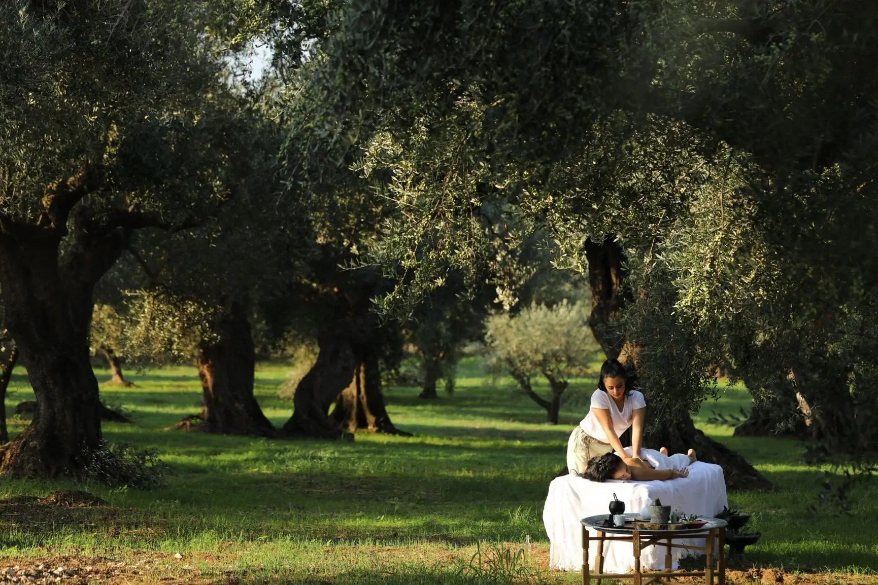 Spa _ Olive Grove_0Z8A0786